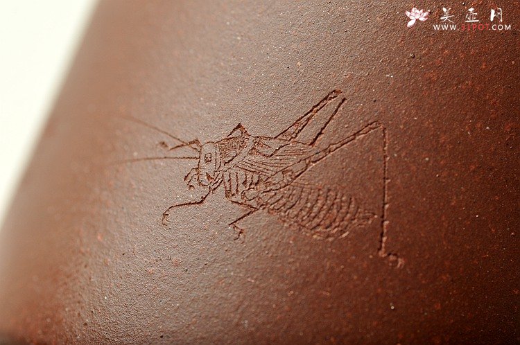 紫砂壶图片：石丁居士杯  油润紫泥  刻绘蟋蟀~ - 美壶网
