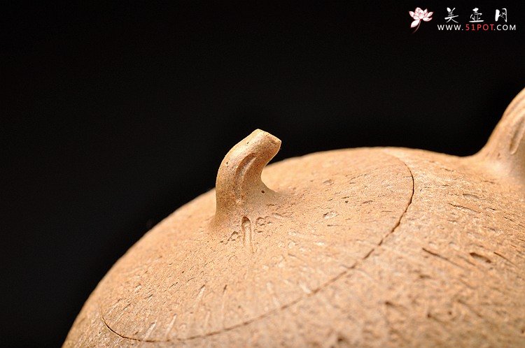 紫砂壶图片：蔡岩峰代表作 古拙中透灵气 全手工橘瓜 肌理丰润 - 美壶网