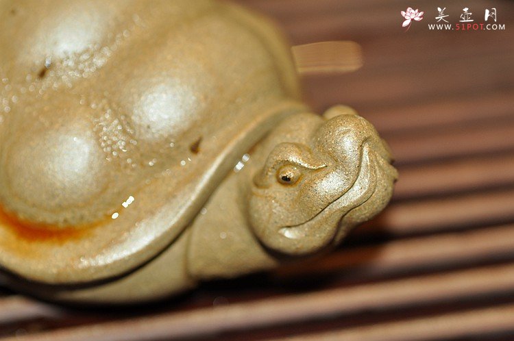 紫砂壶图片：栩栩如生 龟虽寿 - 美壶网