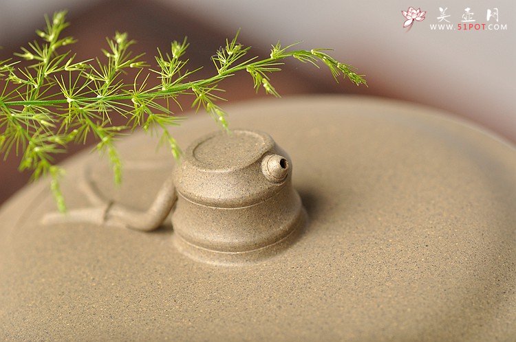 紫砂壶图片：端庄敦厚 黄龙源青段之清韵君子杯 滴子有亮点~ 素雅 - 美壶网