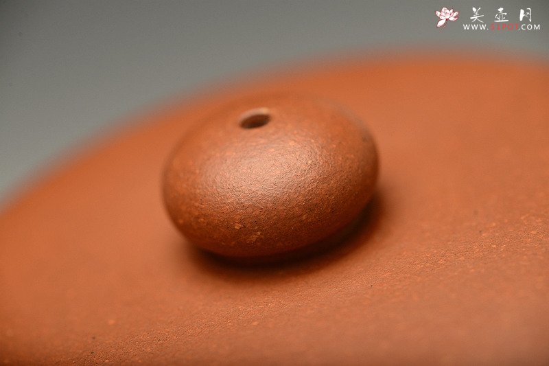 紫砂壶图片：瞿斌原创设计 秀丽不失可爱 静雅 守拙 黄龙山原矿红泥 - 美壶网
