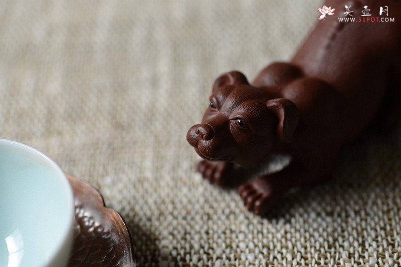 紫砂壶图片：精品茶宠 天狗 孤品 不接受定做 - 美壶网