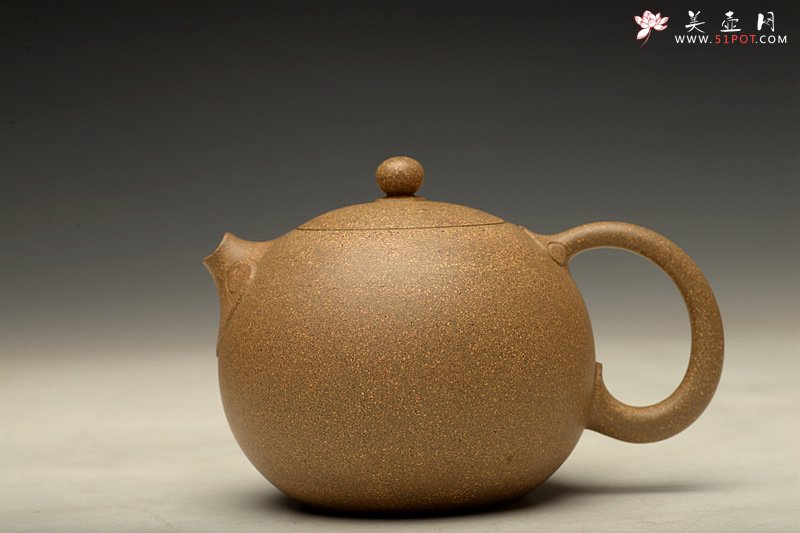 紫砂壶图片：深情连连 敦厚可人 优质段泥 全手嵌盖如意西施   - 美壶网