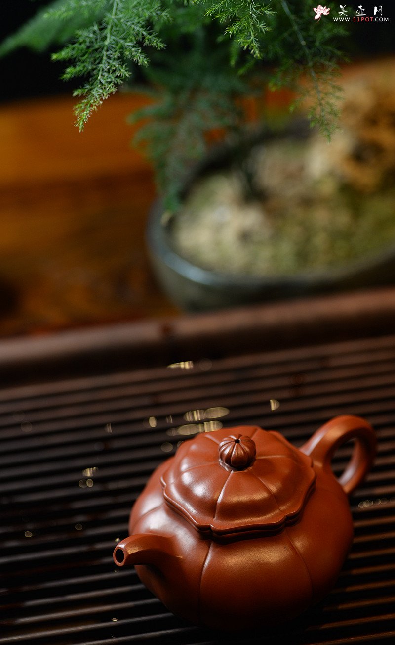 紫砂壶图片：酒虎甲午新作 难度极大  全手工朱泥葵仿古 - 美壶网