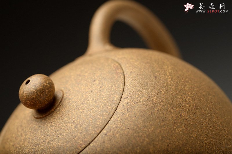 紫砂壶图片：深情连连 敦厚可人 优质段泥 全手嵌盖如意西施   - 美壶网