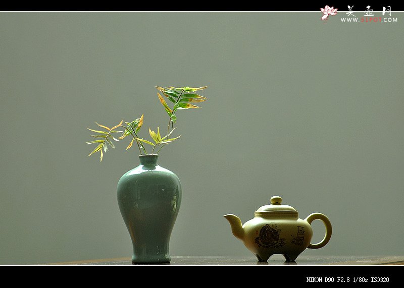 紫砂壶图片：文气小壶 器形端庄周正 本绿小传炉 - 美壶网