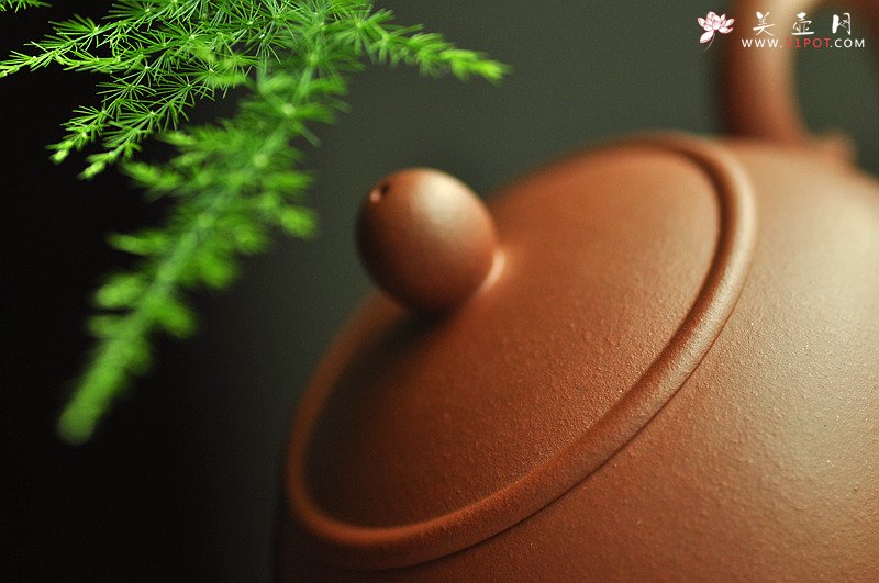 紫砂壶图片：款款深情 线条优美  夏艳美人~ 茶盘尤物o(∩_∩)o  - 美壶网