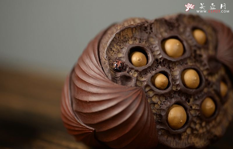 紫砂壶图片：美壶特惠 文雅茶宠 全手工精制  经典莲蓬 - 美壶网