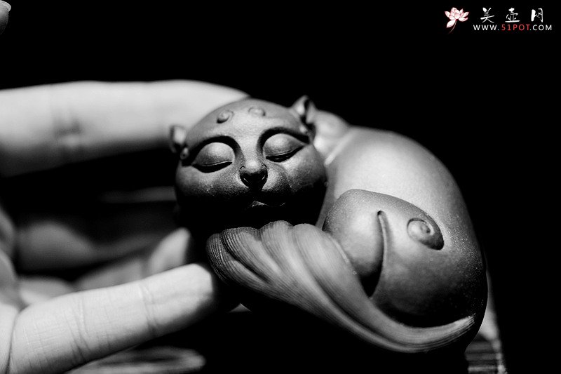 紫砂壶图片：栩栩如生 睡狸o(∩_∩)o  精品茶宠 - 美壶网