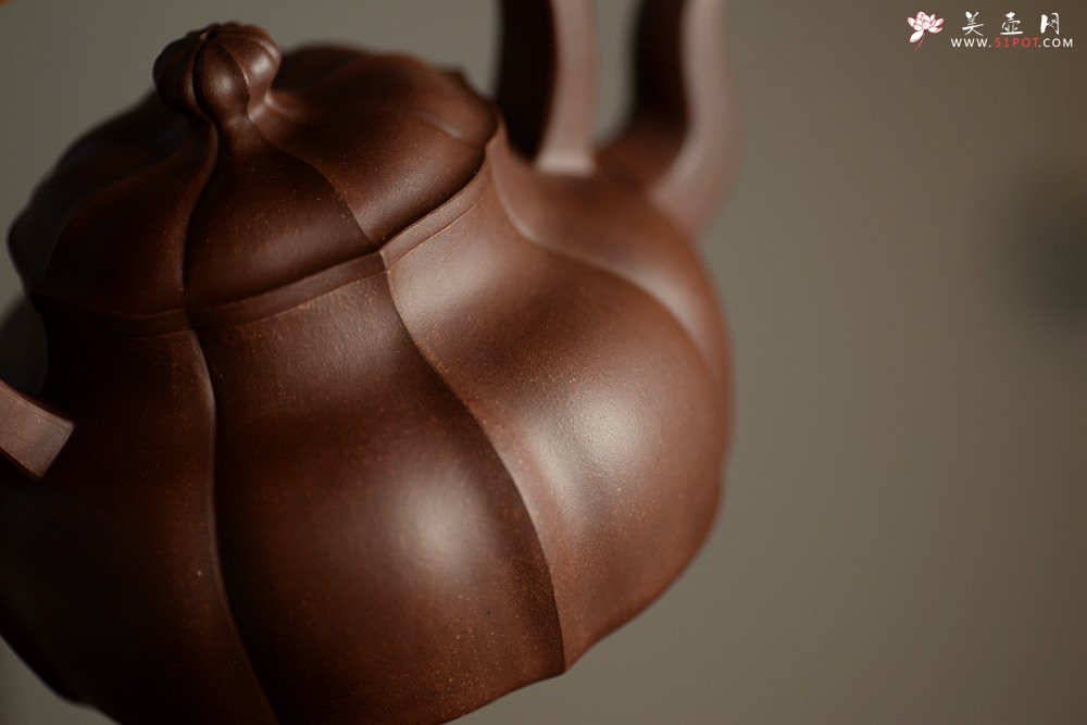 紫砂壶图片：筋囊实力派蔡旭伟力作  大美肌理 张力十足 全手星月提梁 - 美壶网