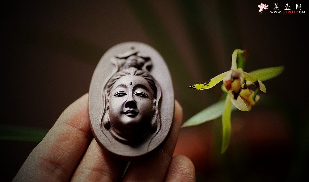 紫砂壶图片：优质紫泥  玉观音 不再接受定做 - 美壶网