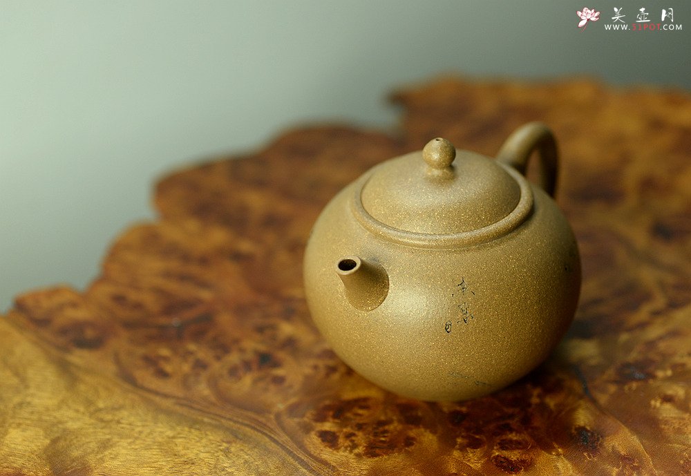 紫砂壶图片：陈进作品  圆润饱满 实用有趣 全手圆珠 - 美壶网