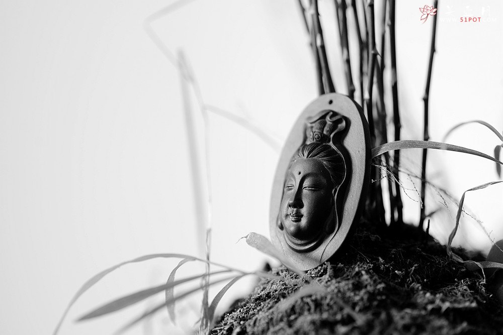 紫砂壶图片：优质紫泥  玉观音 不再接受定做 - 美壶网