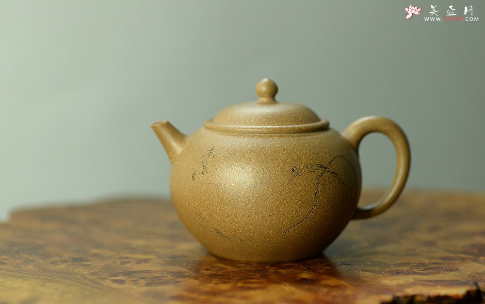 紫砂壶图片：陈进作品  圆润饱满 实用有趣 全手圆珠 - 美壶网