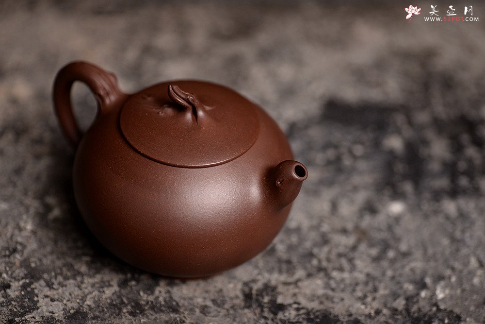 紫砂壶图片：高雪琴全手近作 构思精妙 别具清趣 寒枝 - 美壶网