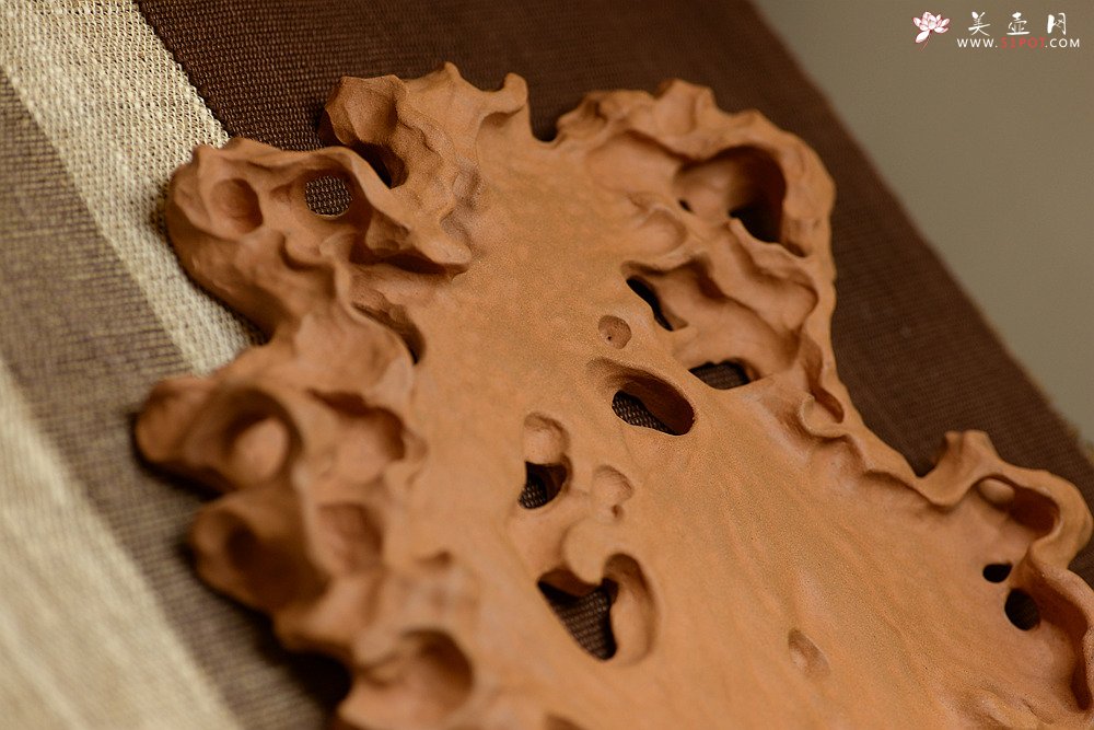 紫砂壶图片：学院派风格~非常好玩的作品~ 全手工太湖石干泡台 - 美壶网