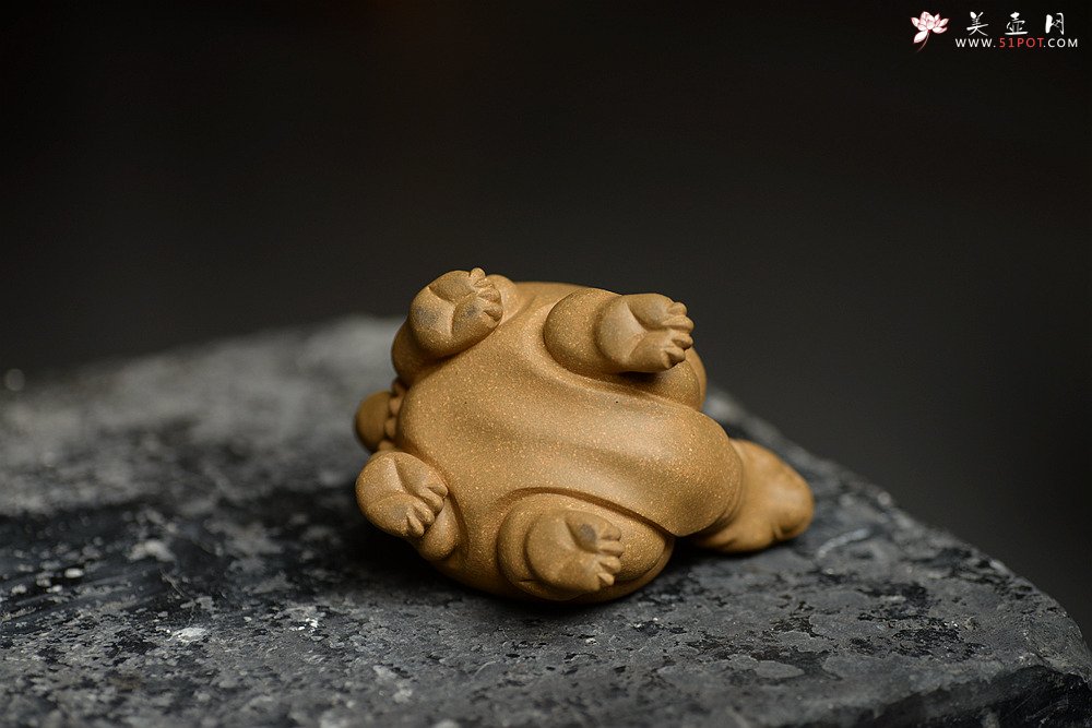 紫砂壶图片：优质段泥 做工精致 龙龟茶宠 - 美壶网