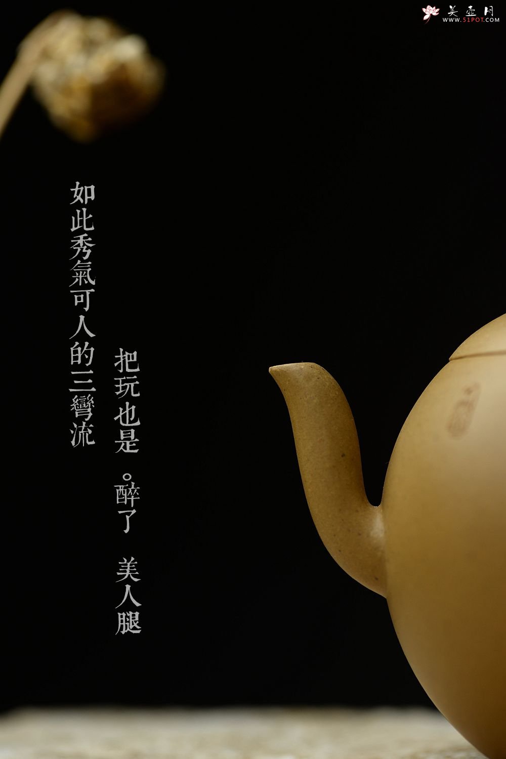 紫砂壶图片：器小大度 美人雅致小壶 天心明月 高工葛明仙爱女黄玲玲装饰 - 美壶网