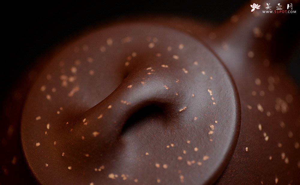 紫砂壶图片： 星光璀璨o(∩_∩)o  铺砂全手景舟石瓢 饱满大气 - 美壶网