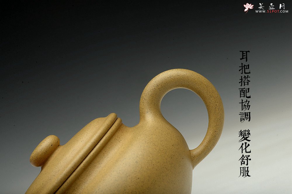 紫砂壶图片：诱人o(∩_∩)o 黄龙山本山绿泥 全手小仿古 传统精品 素雅 - 美壶网