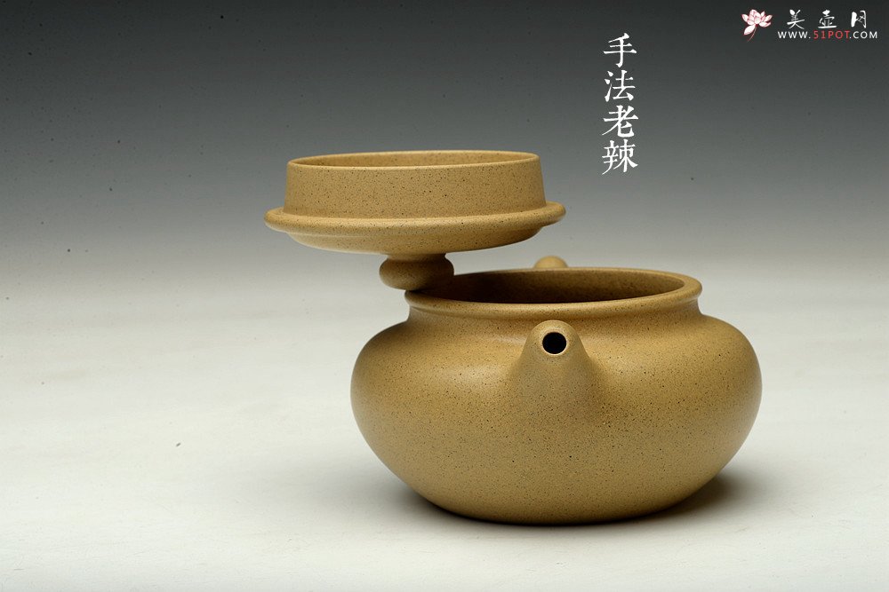 紫砂壶图片：诱人o(∩_∩)o 黄龙山本山绿泥 全手小仿古 传统精品 素雅 - 美壶网