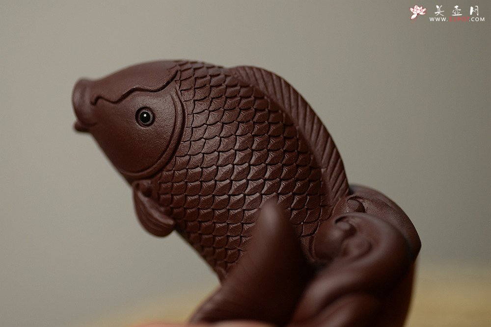 紫砂壶图片：紫砂摆件 做工精致 栩栩如生 鲤鱼~金蟾 - 美壶网