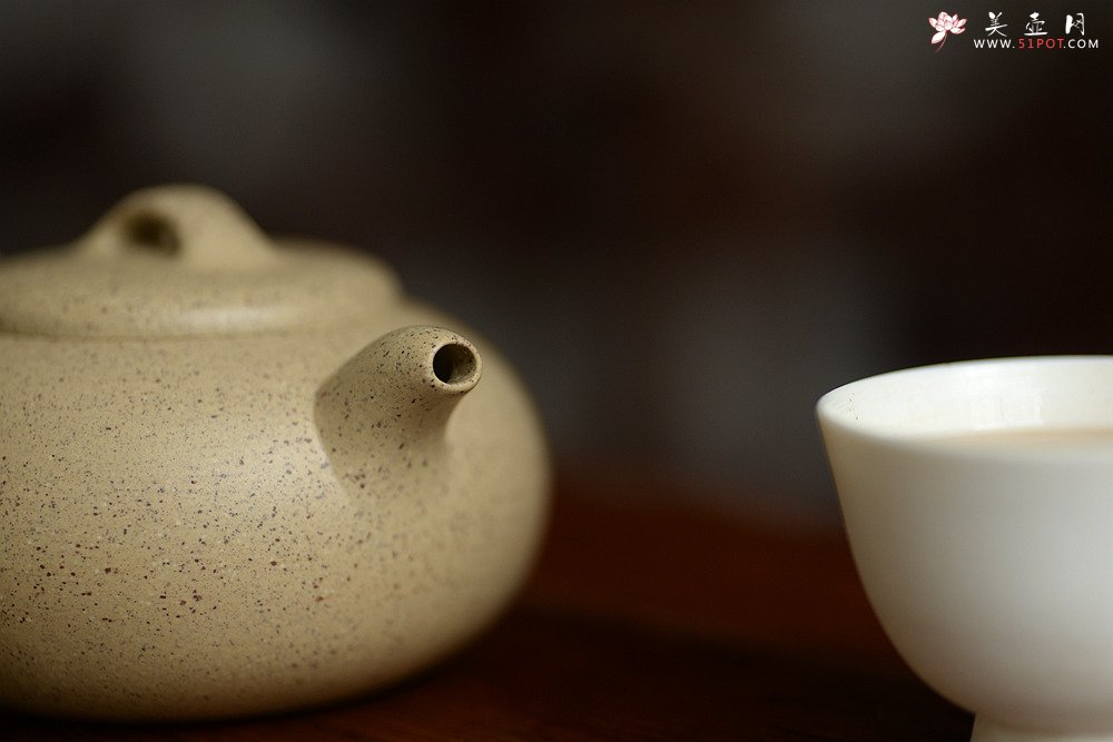 紫砂壶图片：徐亚春全手力作 手工练泥共生矿 全手飞泉 不接受定做o(∩_∩)o - 美壶网