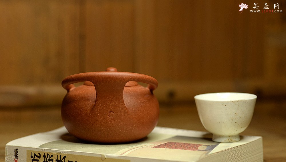 紫砂壶图片：潘小东新品 全手明韵 造型新颖 原矿老段泥 - 美壶网