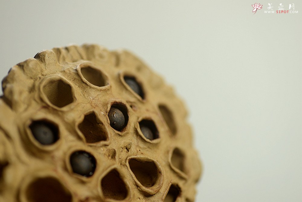 紫砂壶图片：刘秀作品 文雅茶宠 全手工精制 大莲蓬 - 美壶网