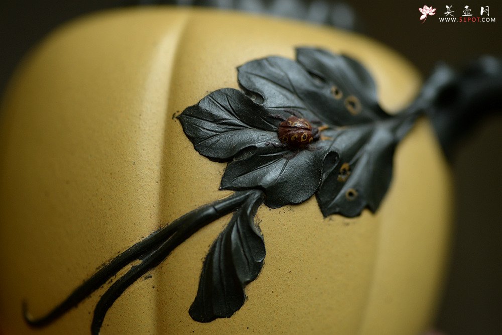 紫砂壶图片：原创作品 本段小金瓜 灵巧曼妙 夏日利器 孙伟强张新亚合作 - 美壶网