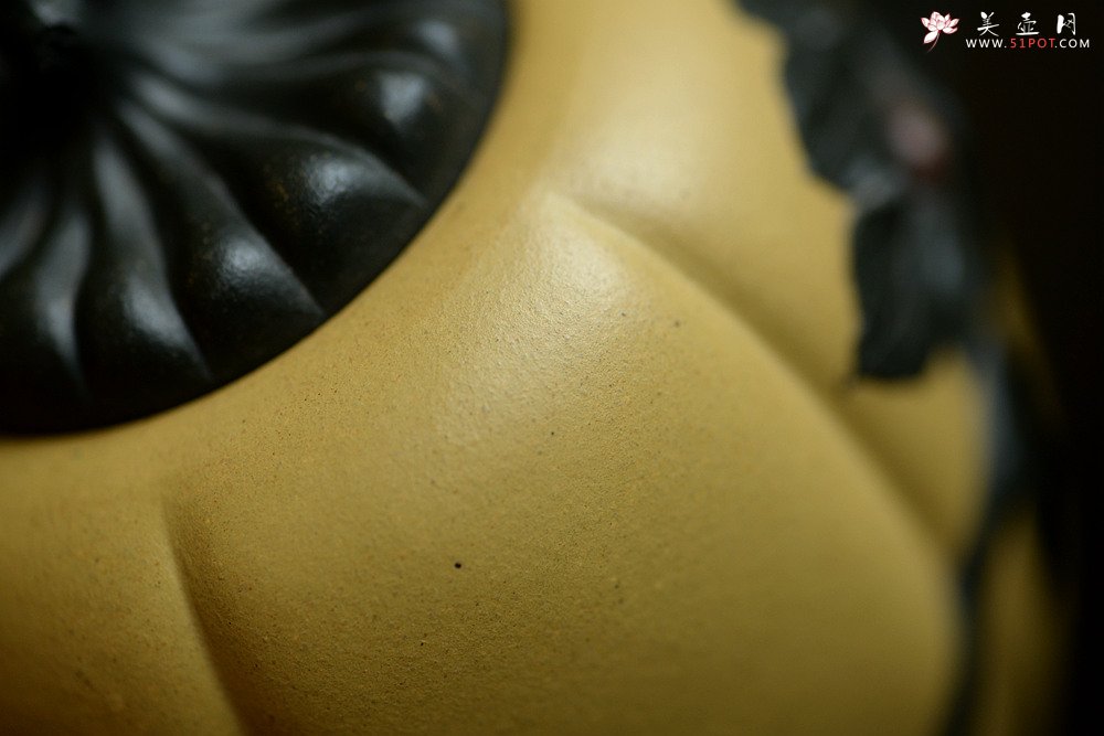 紫砂壶图片：原创作品 本段小金瓜 灵巧曼妙 夏日利器 孙伟强张新亚合作 - 美壶网