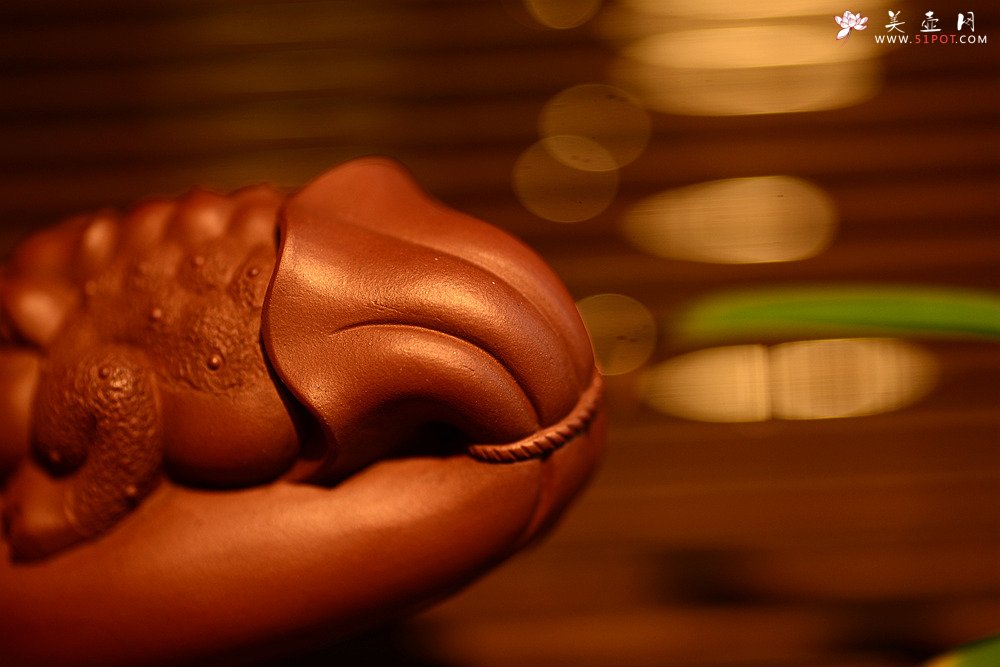 紫砂壶图片：金蟾 做工精致 栩栩如生 和气生财 茶盘尤物 - 美壶网