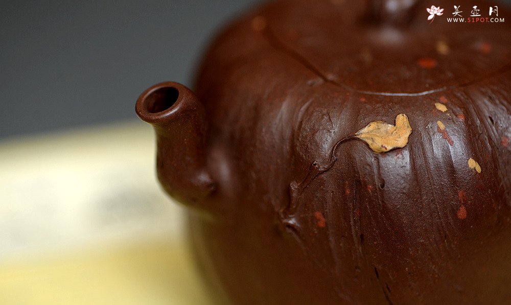 紫砂壶图片：花货新风尚  妙趣横生 潘丹初全手新作 树魂 - 美壶网