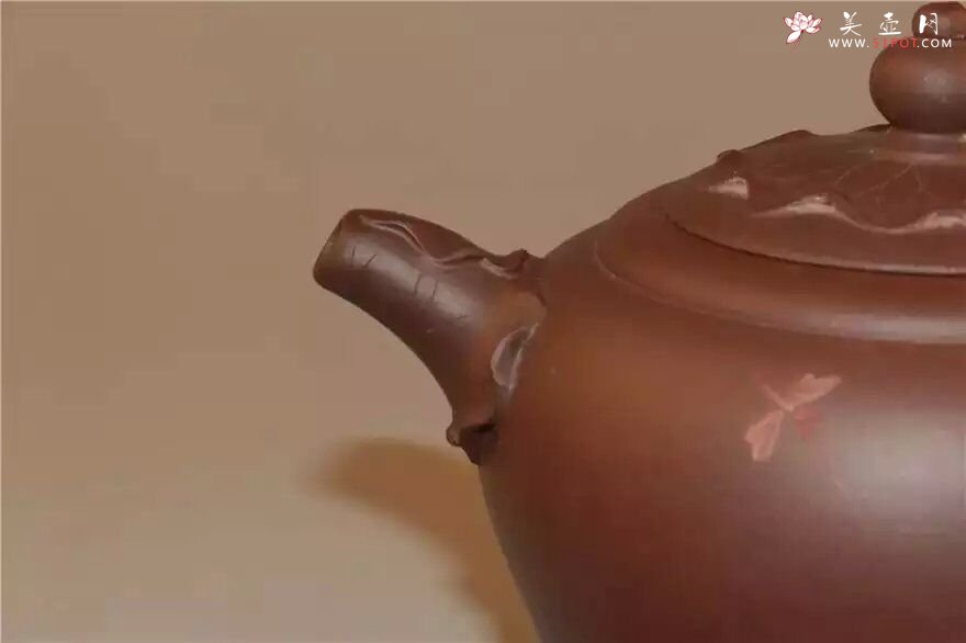 紫砂壶图片：荷悟 - 美壶网