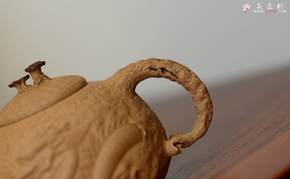 紫砂壶图片：谢多莲全手精品 游龙龚春 古朴之味 游龙生动逼真  - 美壶网