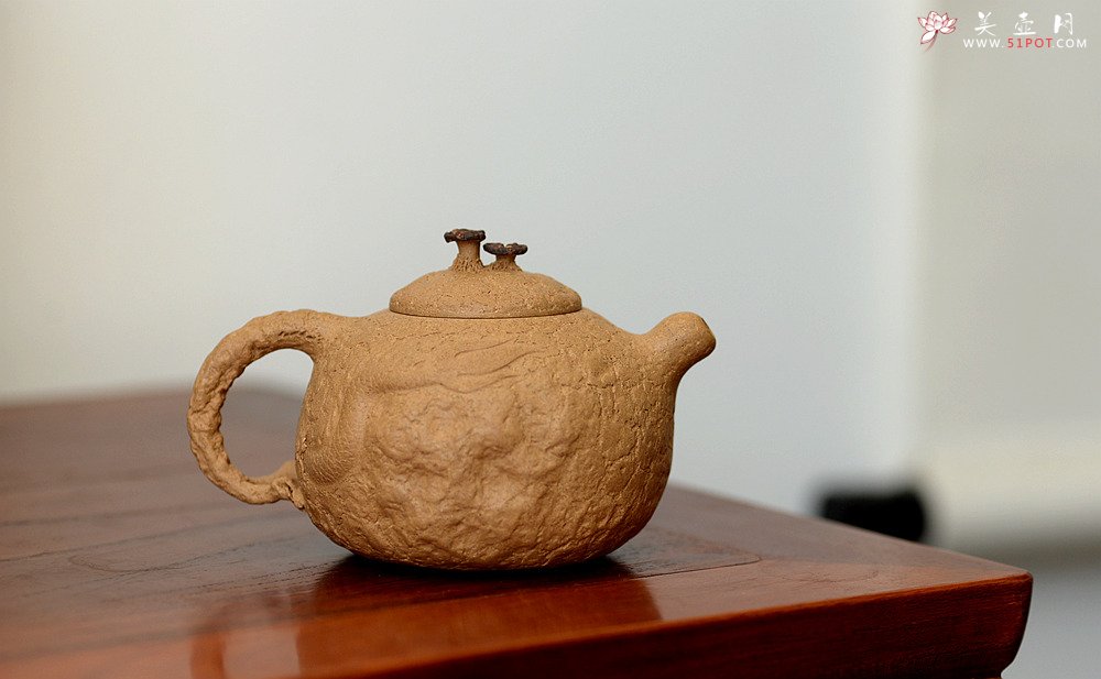 紫砂壶图片：谢多莲全手精品 游龙龚春 古朴之味 游龙生动逼真  - 美壶网