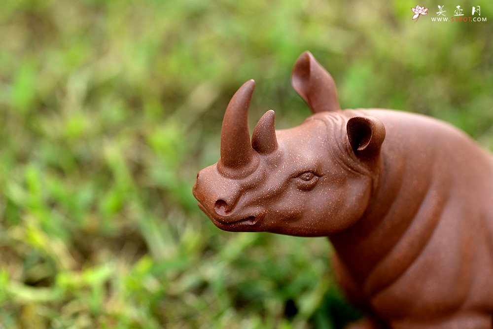 紫砂壶图片：稳如泰山~~犀牛 做工细腻 主体神态逼真 别有一番风味！ - 美壶网