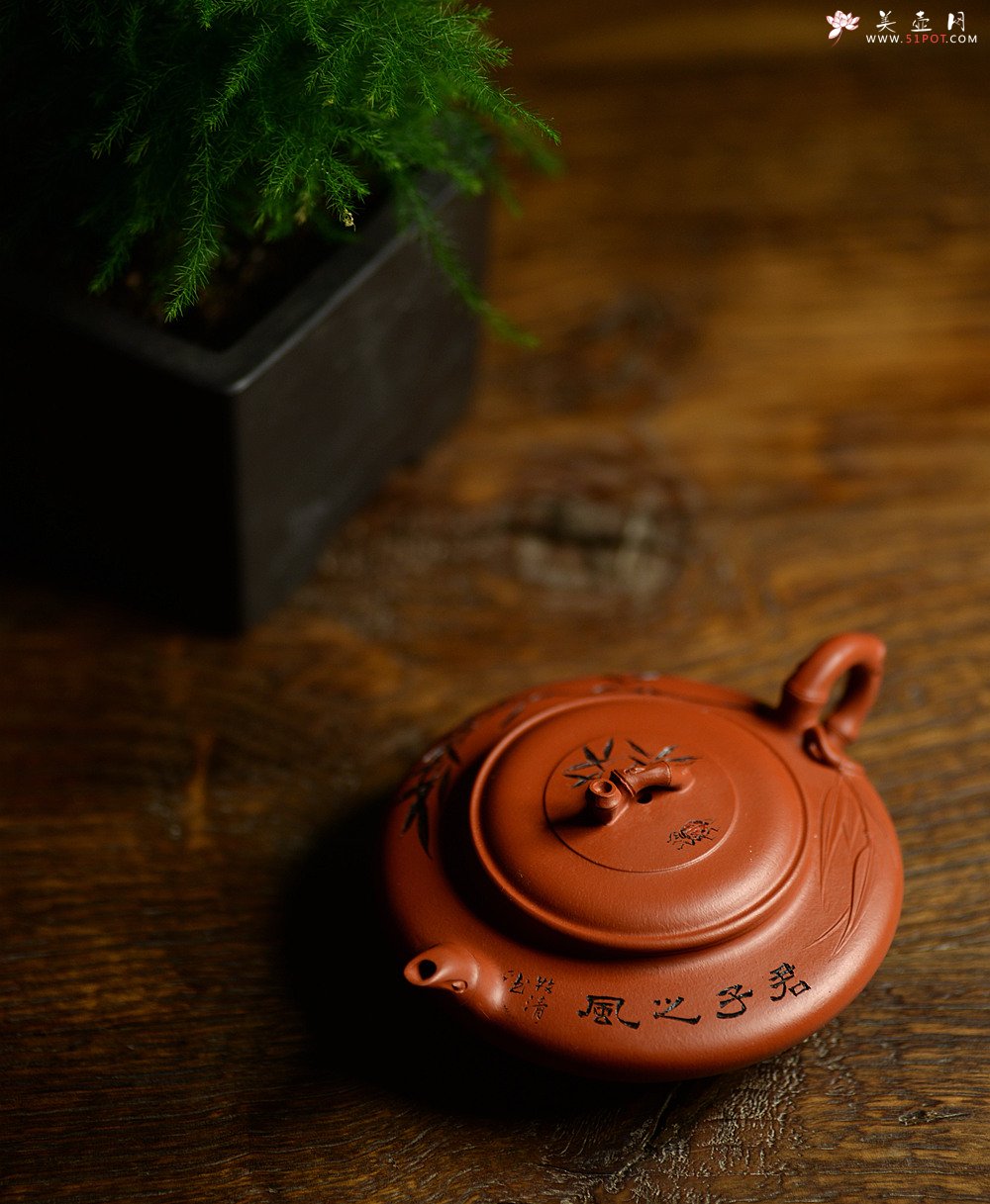 紫砂壶图片：优质朱泥 绿茶友人 扁竹 简意花货 - 美壶网