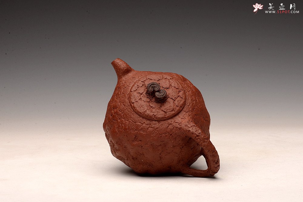 紫砂壶图片：肌理自然生动 全手灵芝龚春 古朴之味 - 美壶网