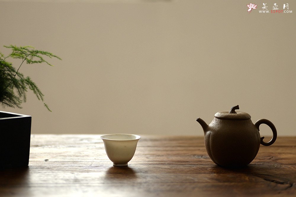 紫砂壶图片：潘小东全手新作 学院风 亭亭玉立 文气可人 玉瓜 - 美壶网