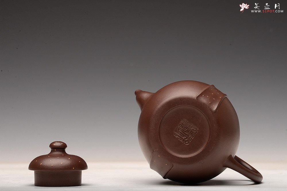 紫砂壶图片：徐正涛经典代表作 全手高龙带 高俊神逸~ 精工佳品 - 美壶网