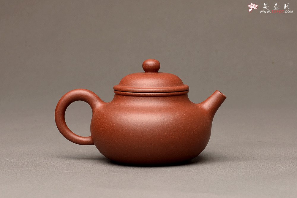 紫砂壶图片：美壶特惠之容天壶 超级实用品 性价比极高 - 美壶网