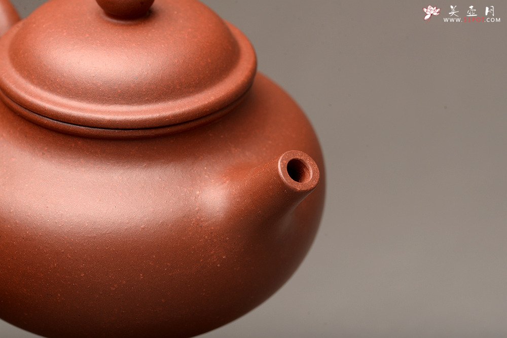 紫砂壶图片：美壶特惠之容天壶 超级实用品 性价比极高 - 美壶网