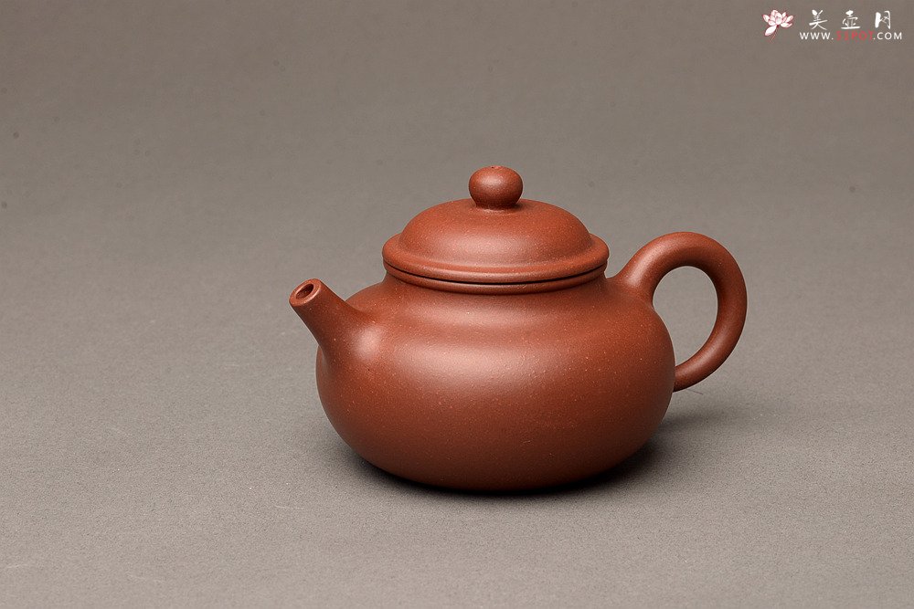 紫砂壶图片：美壶特惠之容天壶 超级实用品 性价比极高 - 美壶网