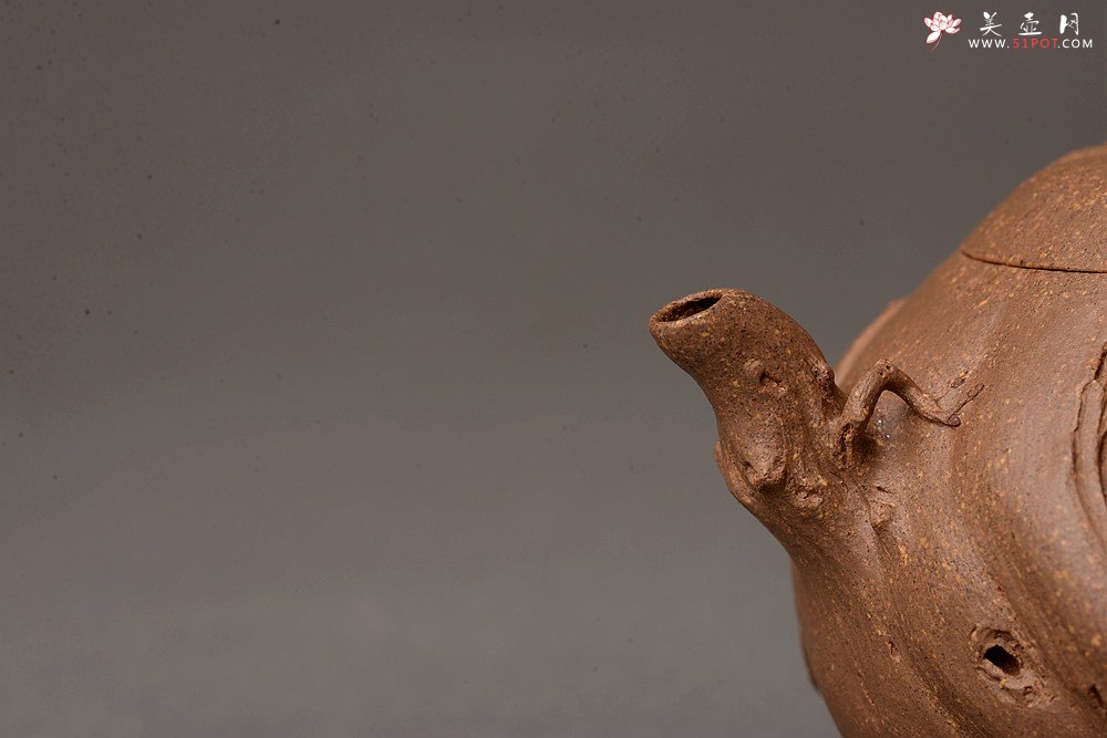 紫砂壶图片：林月长乙未冬全手原创精品 肌理丰富 紫砂新风 学院派  麒麟山音 - 美壶网