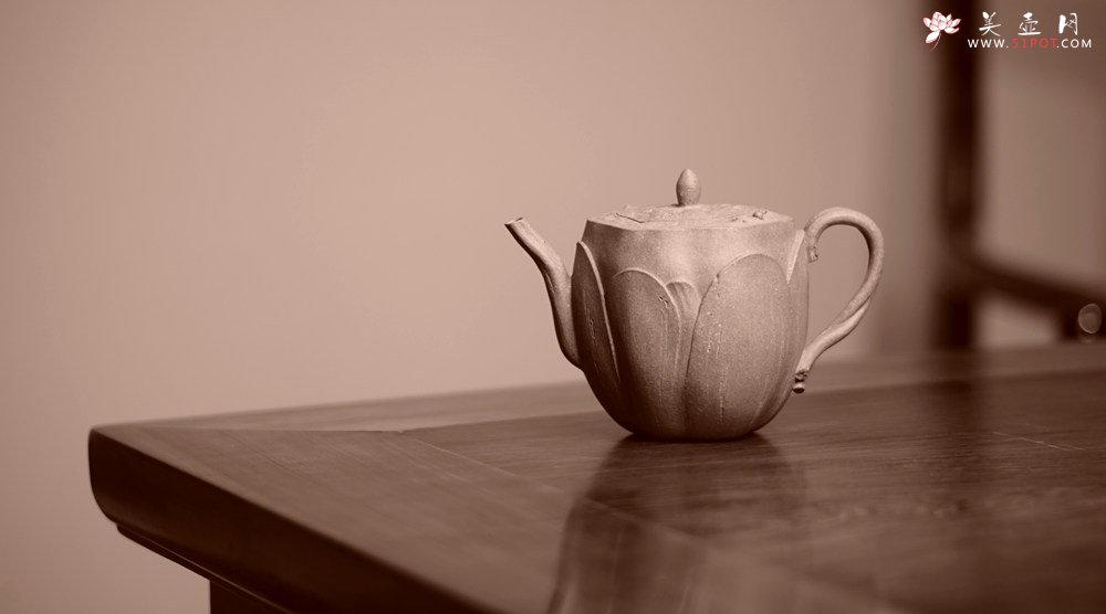 紫砂壶图片：郑志贤最新全手作品 荷香阵阵 学院派风格~ 池莲 - 美壶网