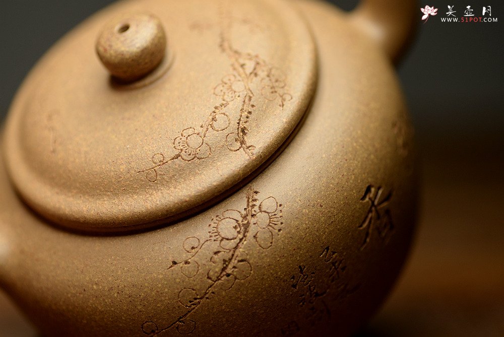 紫砂壶图片：国助工唐文新作 五彩段泥隐乐壶  端庄秀气 助工袁德波装饰 - 美壶网