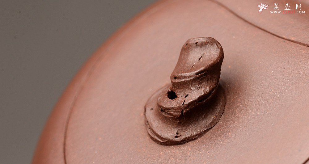 紫砂壶图片：花货新风尚 道法自然 妙趣横生 潘丹初乙未年全手之作 溪竹 - 美壶网