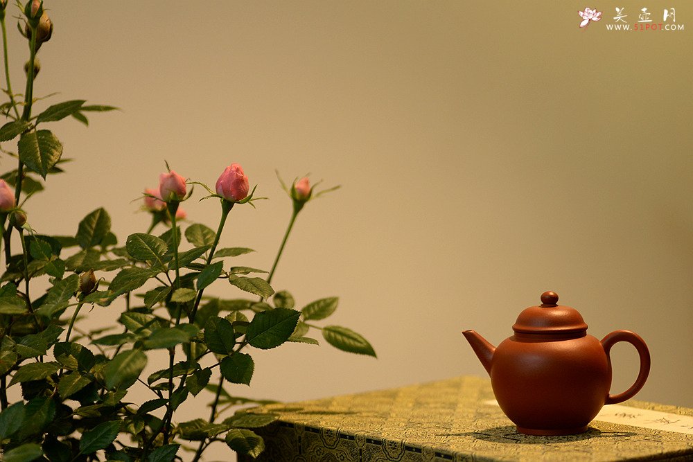 紫砂壶图片：美壶特惠 性价比极高 功夫茶利器 优质朱泥~~高水平 - 美壶网