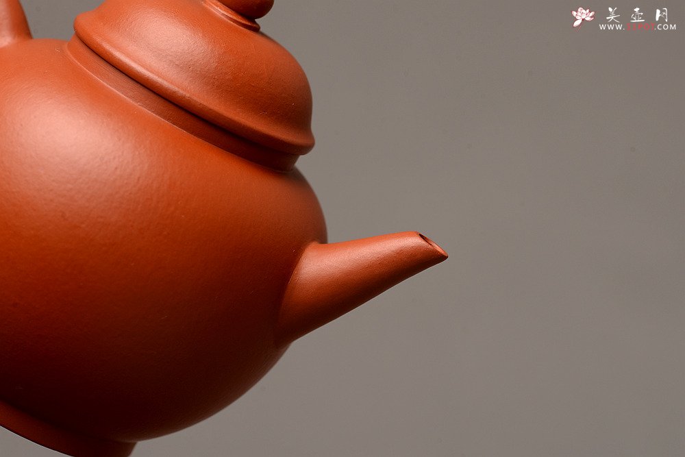 紫砂壶图片：美壶特惠 性价比极高 功夫茶利器 优质朱泥~~高水平 - 美壶网